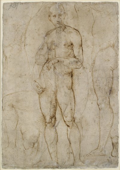 Verso: Studio di nudo per un San Paolo, WA1846.163 da Raffaello Sanzio Raphael